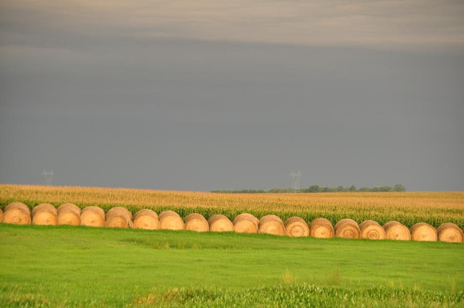 Hay Round Bales