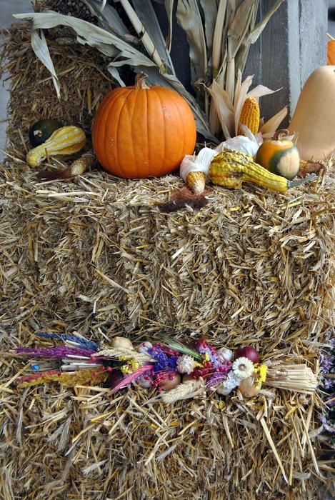 autumn vegetables on the hay