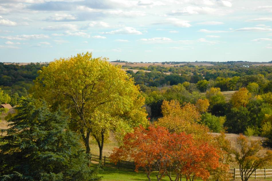 beautiful landscape in color