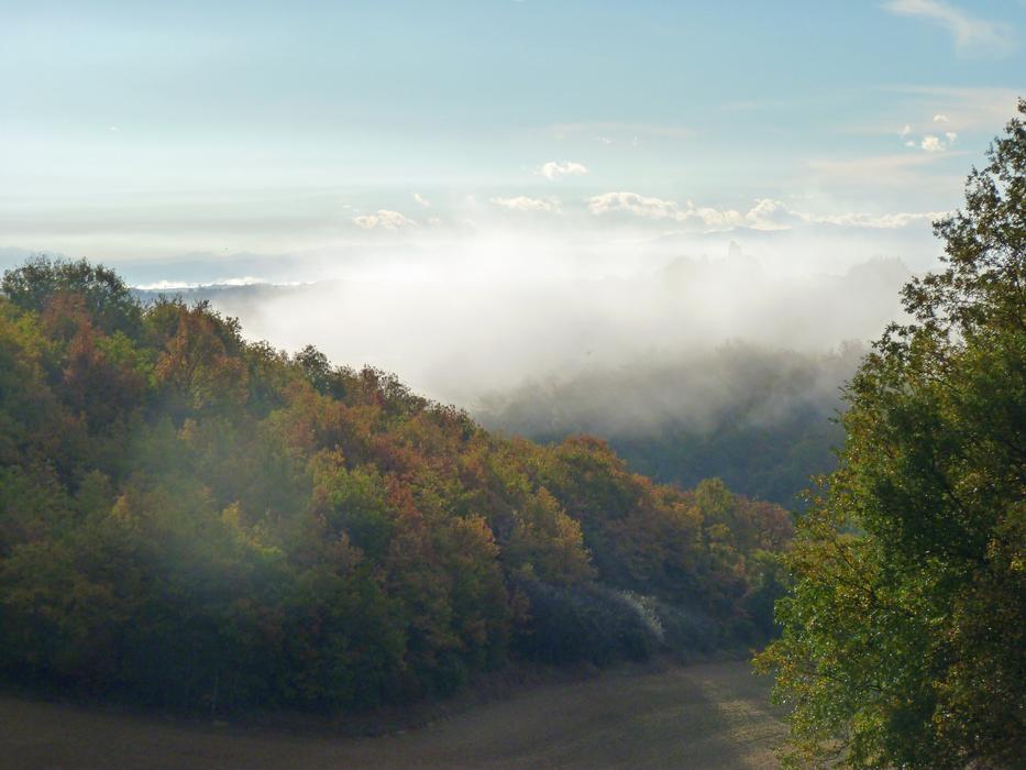 Morning Mist Fall