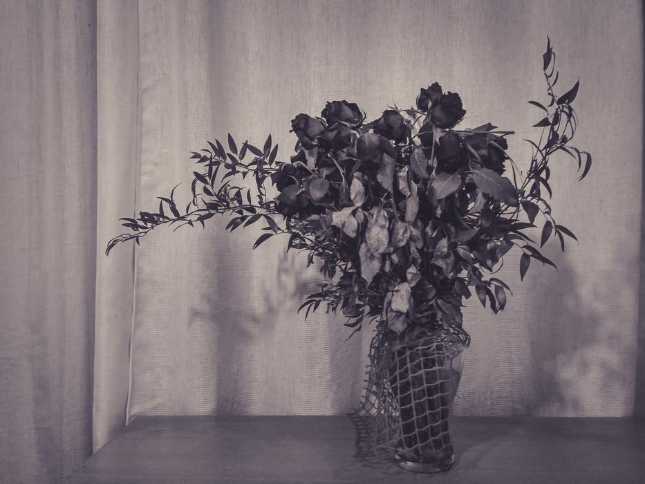 Dried flowers in a vase on the table