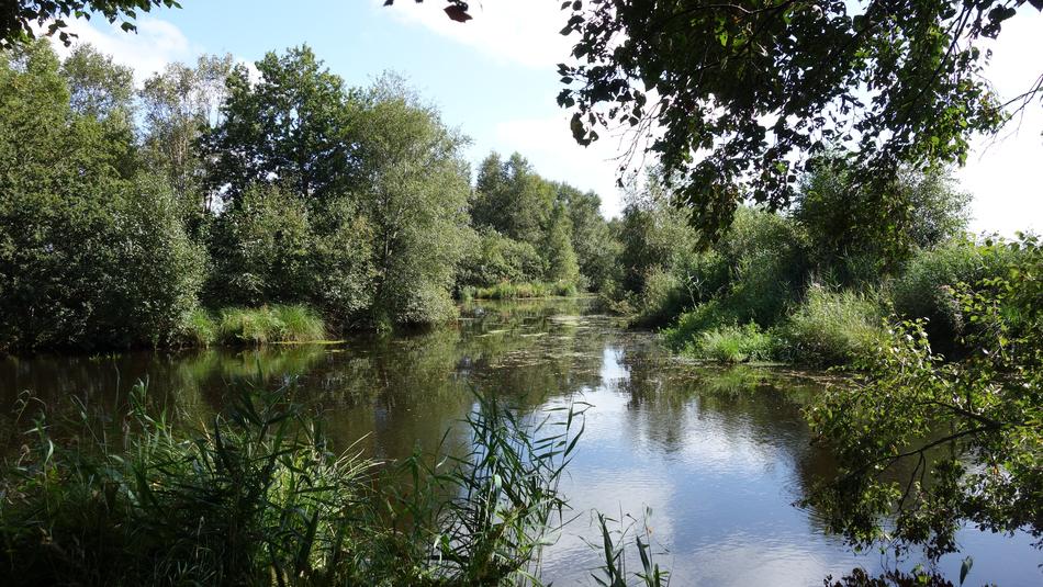 Water Nature Landscape Of