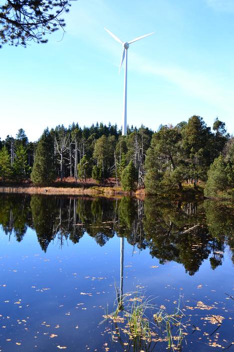 Moor Blind Lake Schonach Black