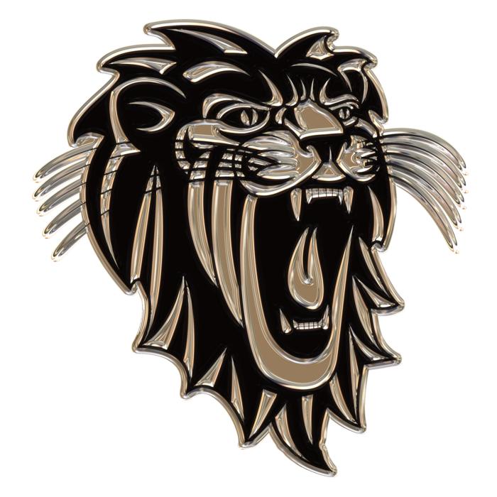 lion head on the embroidery