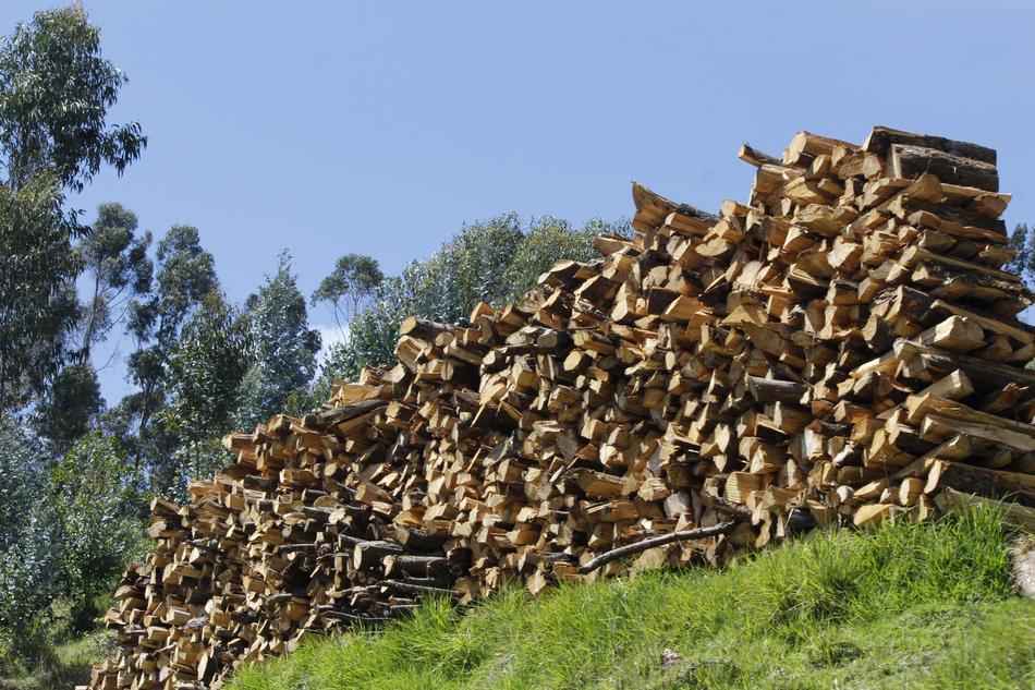 stacked firewood at the top of the hill