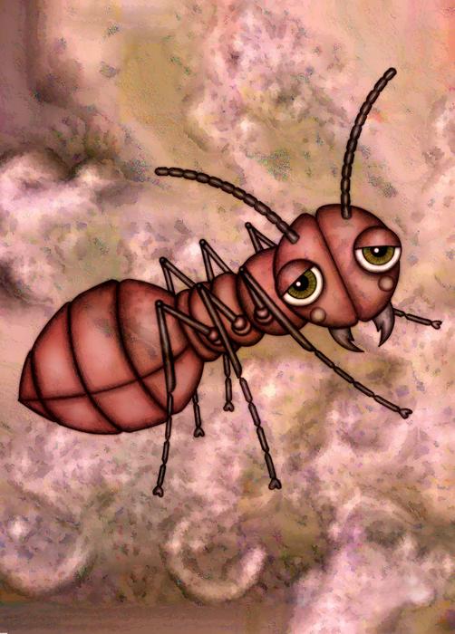 drawn ant on bubbles background