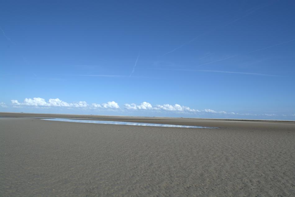 Norderoogsand Sandbar Nature