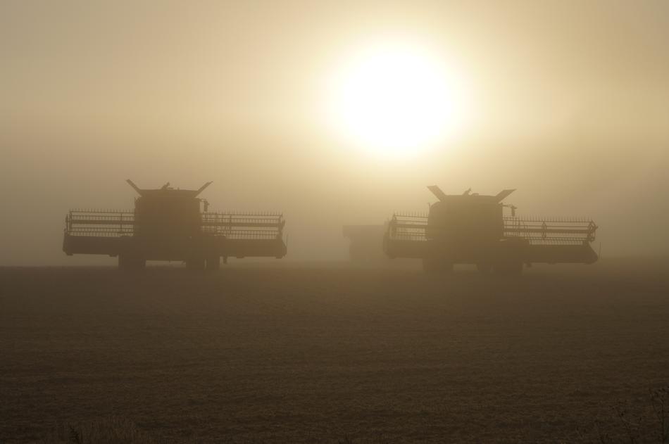 Combine Harvest Agriculture