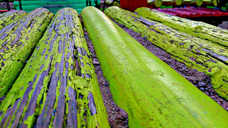 green woods background