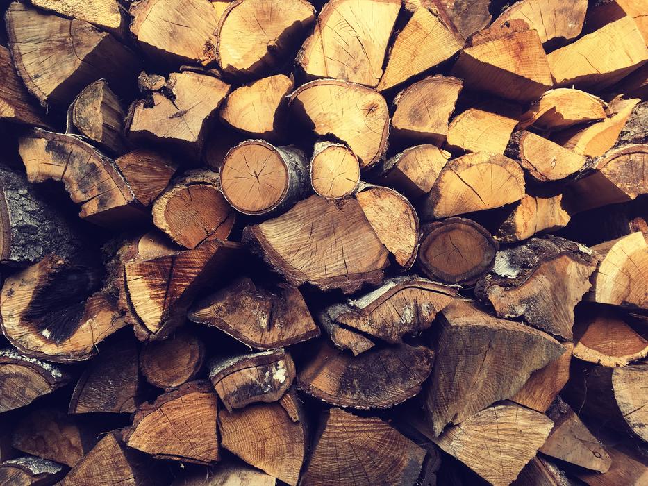 Wood Nature Autumn