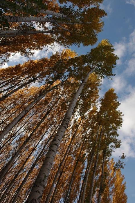 Beautiful And Cold Autumn Sky
