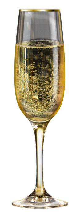 sparkling champagne in a glass