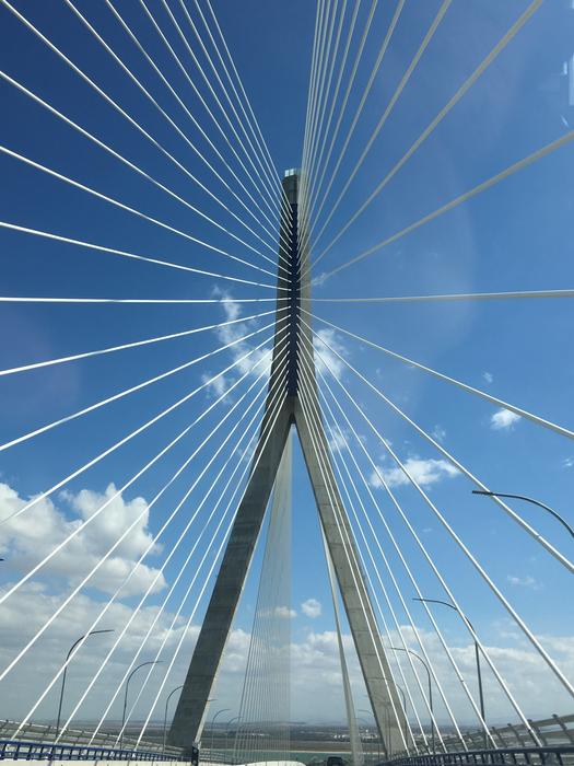 Suspension Bridge Perspectives