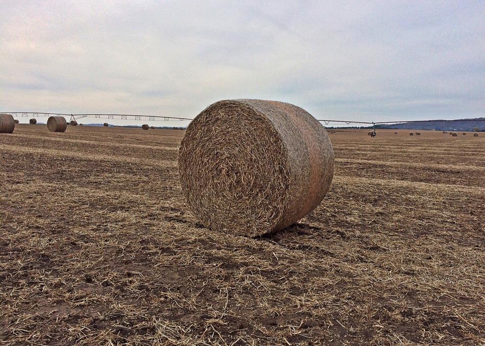 Hay Bale Farm