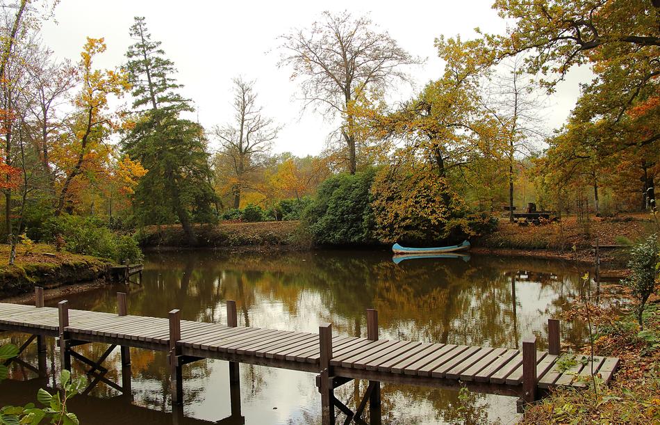 Pond Web Canoeing
