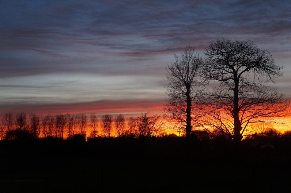 silhouette black sunset evening