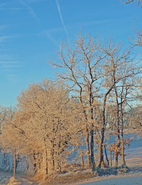 Gel Frost Winter