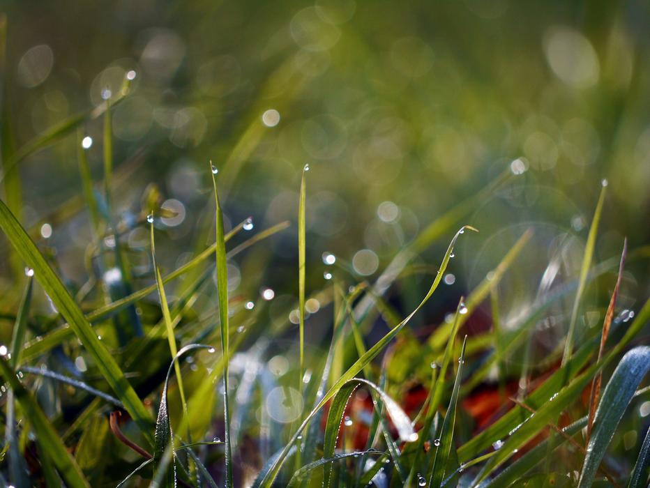 Nature water Drop