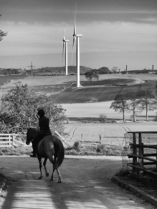 Wind Turbine and Horse riders