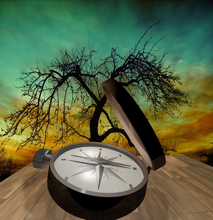 compass out outdoor leisure nature
