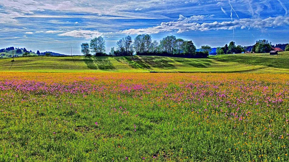 Allgäu Mountains Landscape