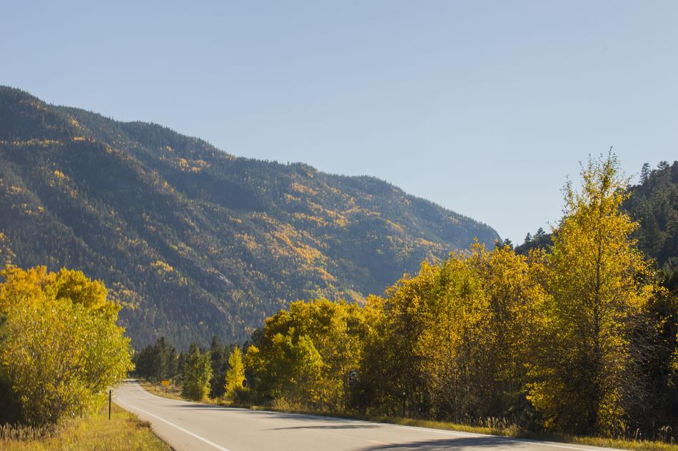 Mountains Forrest Landscape