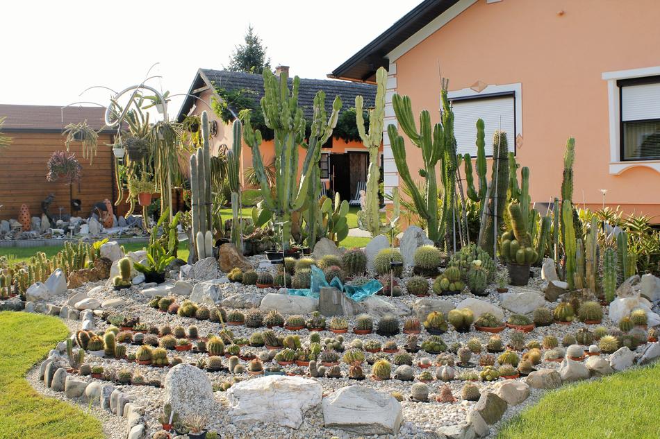 Hobby Garden Exoticism