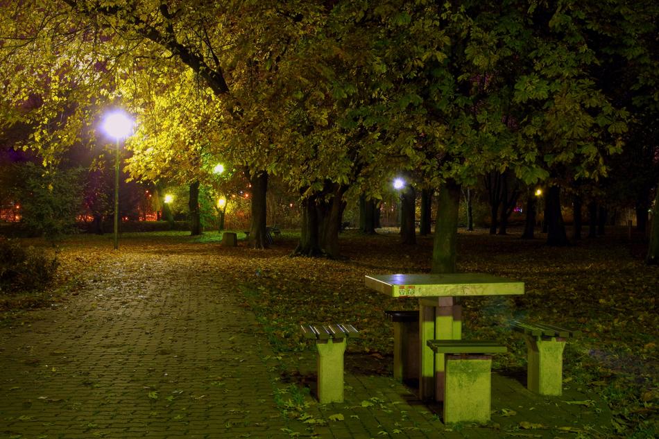 Park Evening Night