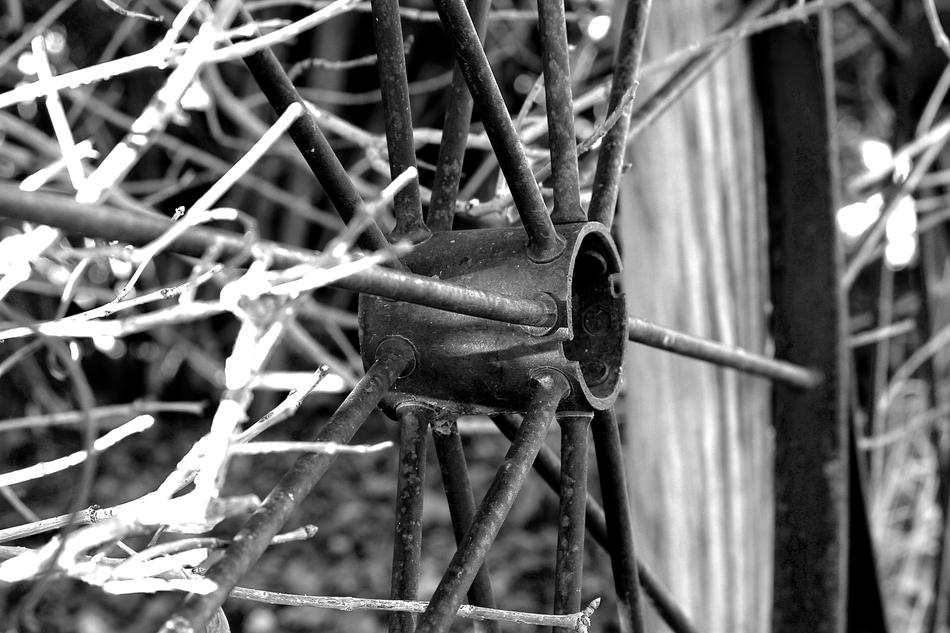 Wagon Wheel Black And White Rustic