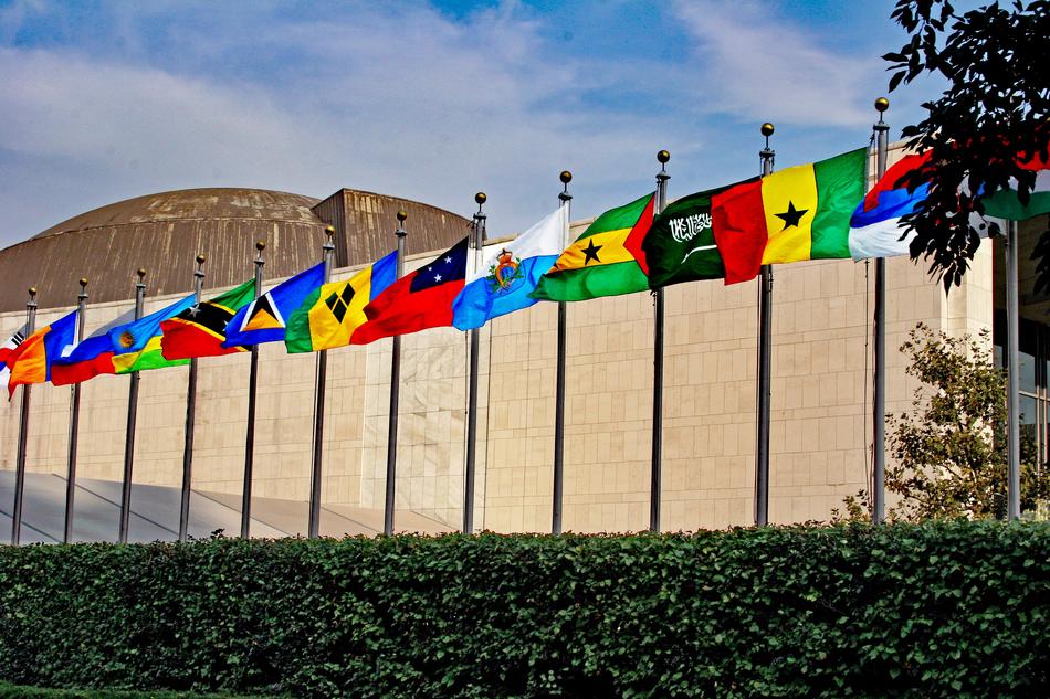flags of different countries by the bushes