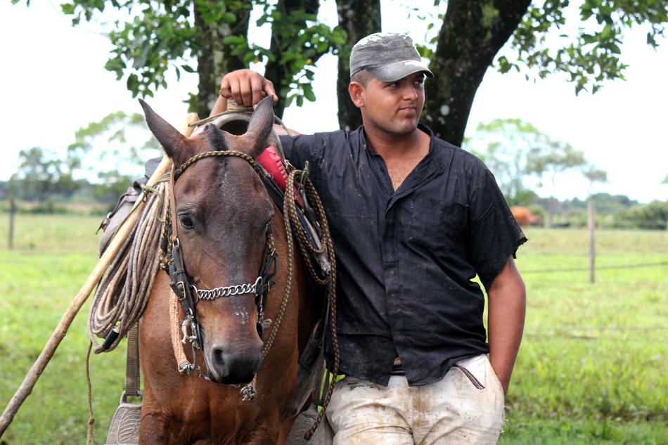 Peasant man, near the beautiful and cute horse, near the green trees, near the field