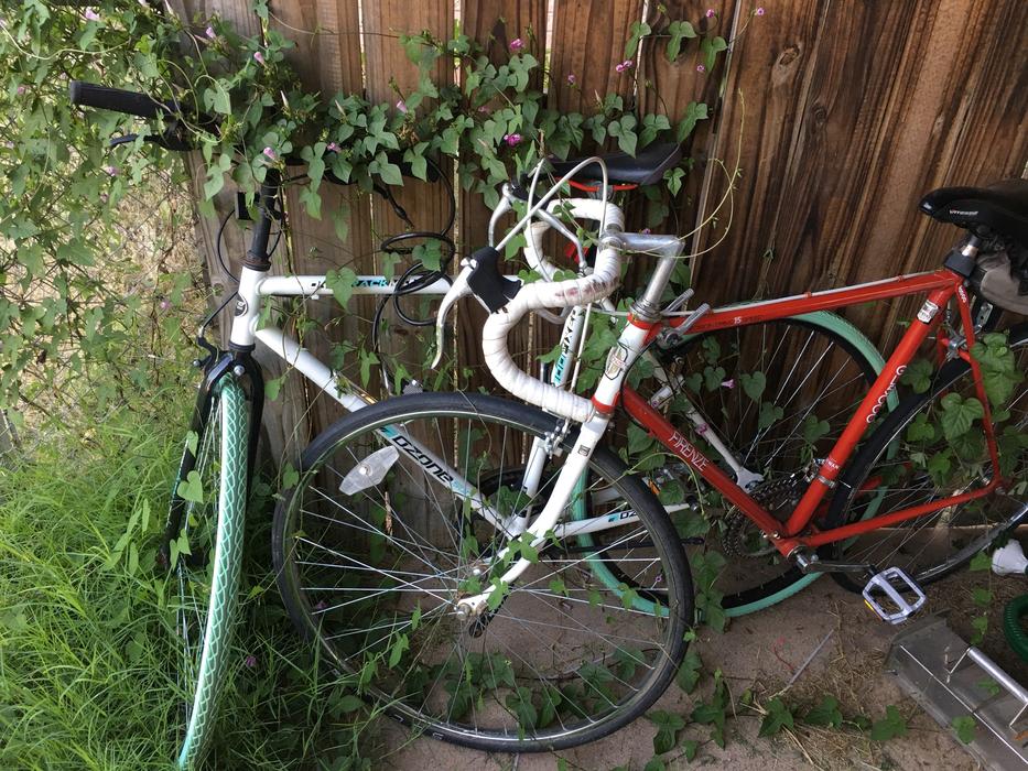 Bike Bicycle Vine