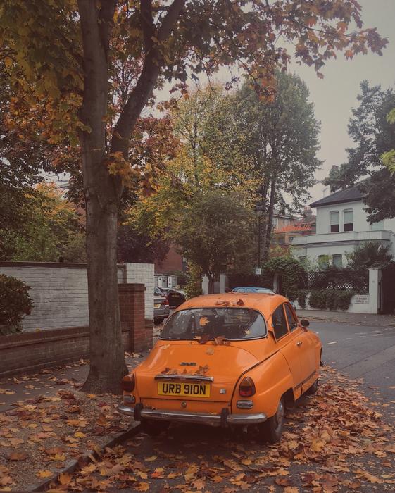 London Street in Autumn