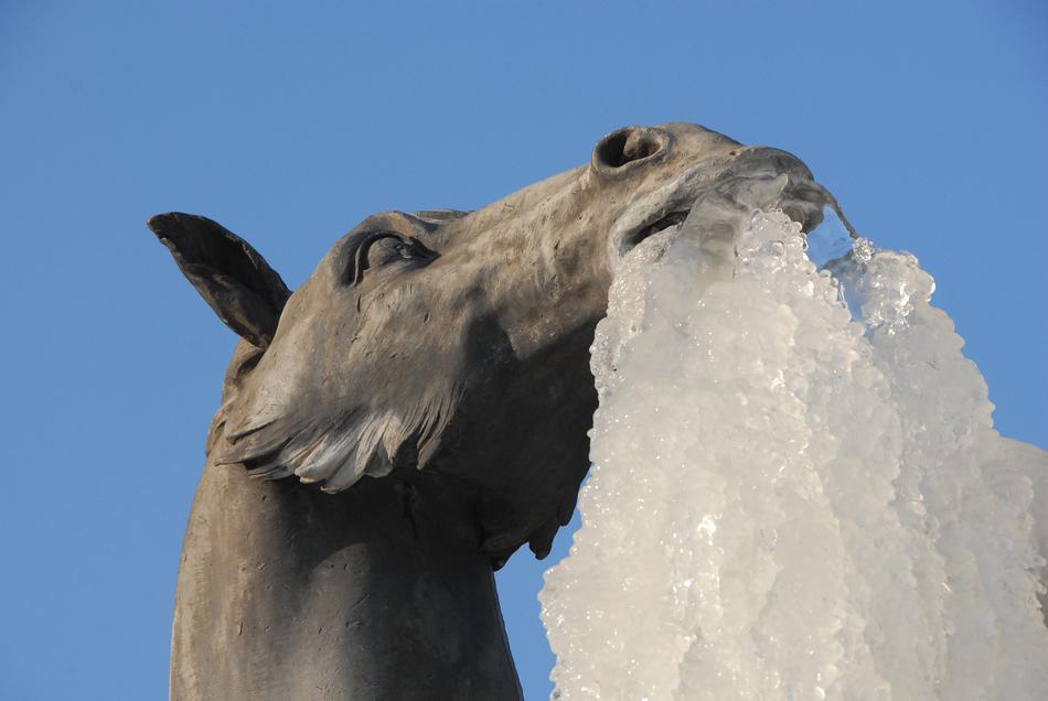big horse in ice sculpture
