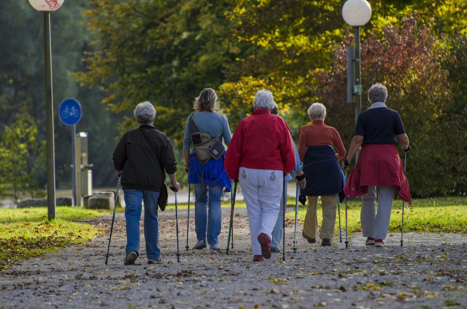 old people walking in the park