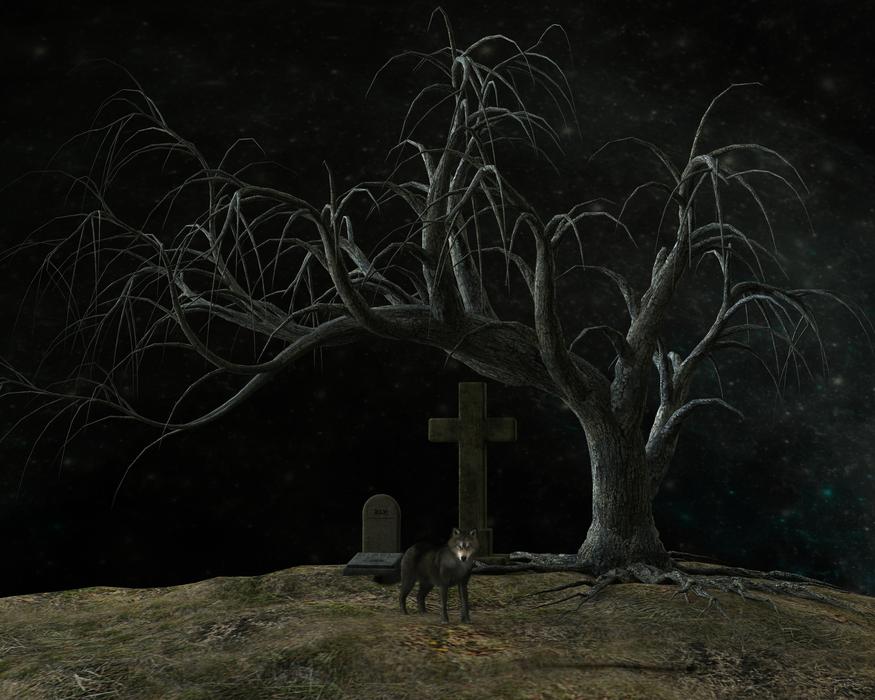 wild wolf at the grave