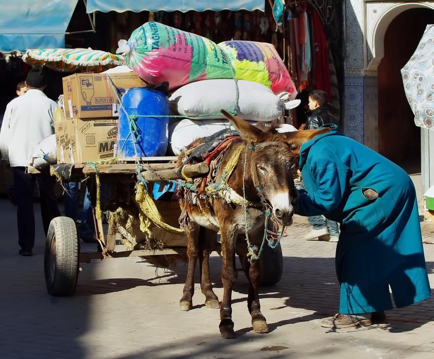 Morocco Marrakech Hitch