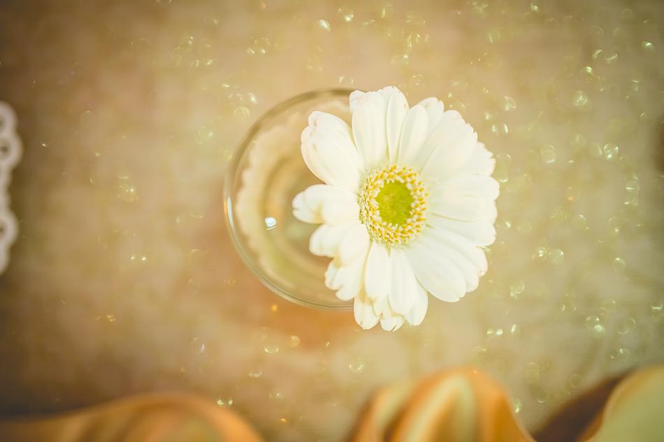 Gerbera Flower Wedding