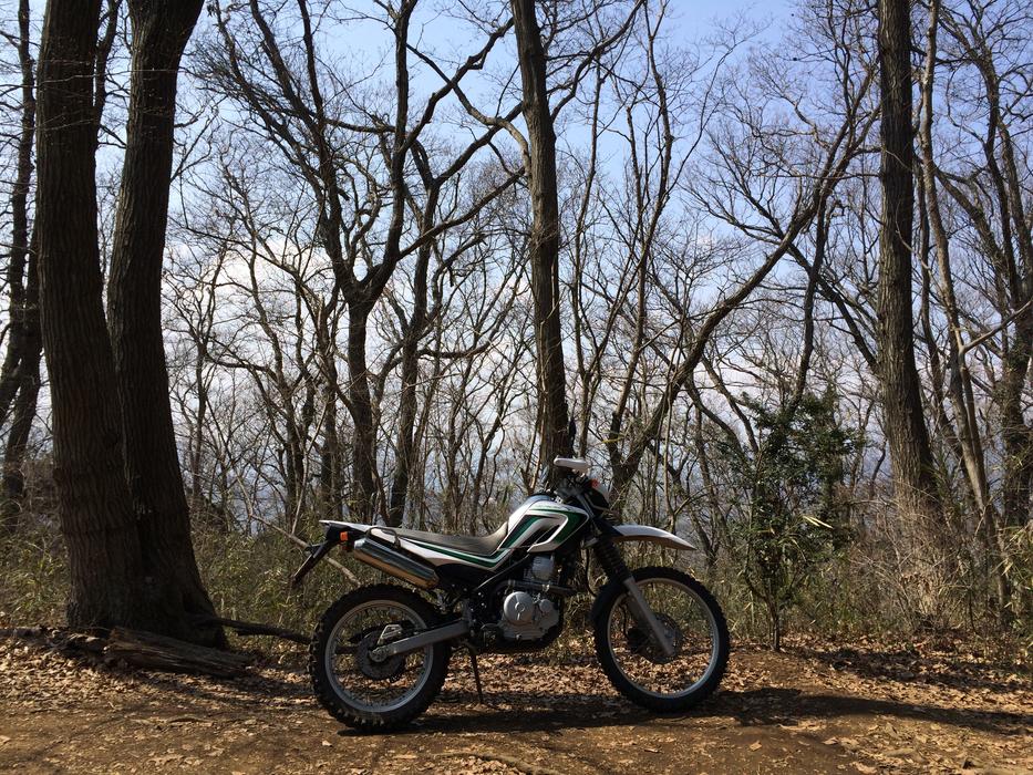 Sports Traffic bike in forest