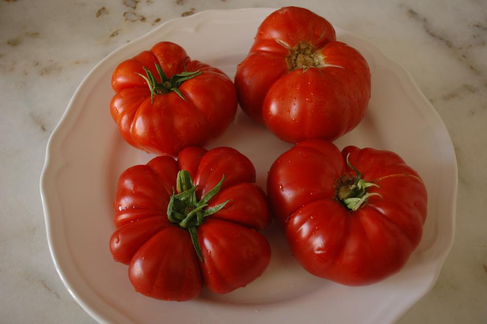 ripe tomatoes large in the plate