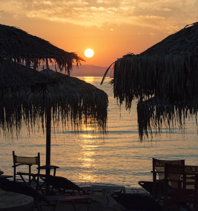 Palm umbrellas on the beach
