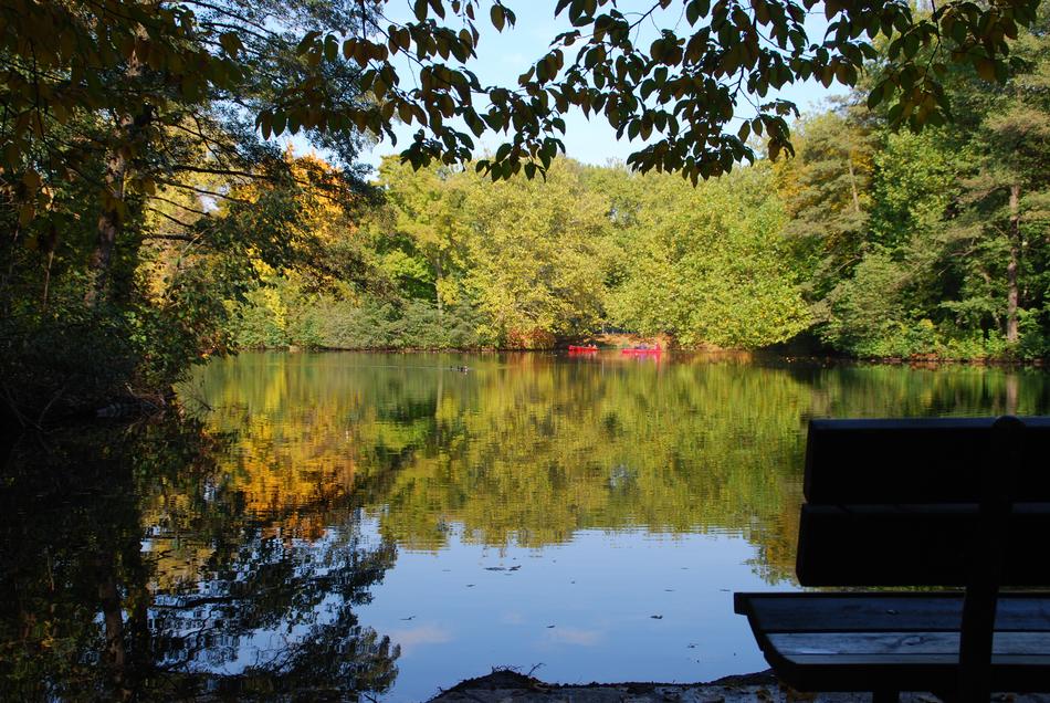 Autumn Leaves Lake