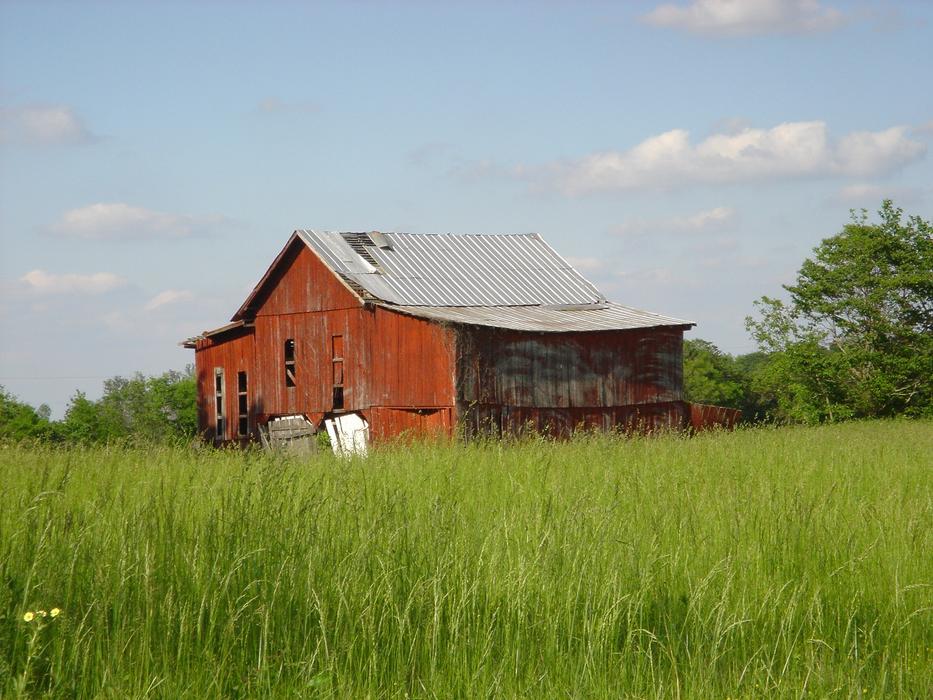 old wooden house in the meadow