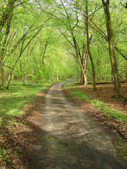 Way Reserve Spring
