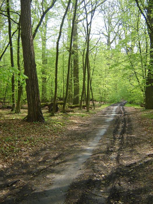 Road Way Reserve
