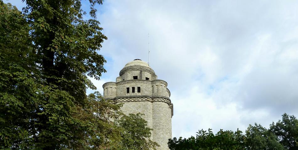 view from behind the trees at Bismarckturm Ingelheim
