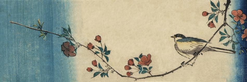 great tit on blooming branch, vintage japanese drawing