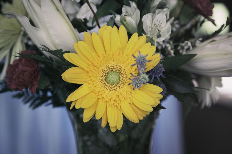 Close-Up view of yellow Blooms and flowers in vase