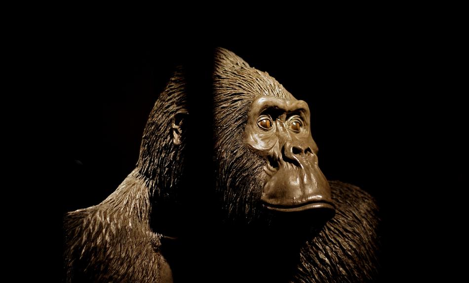 iron monkey head