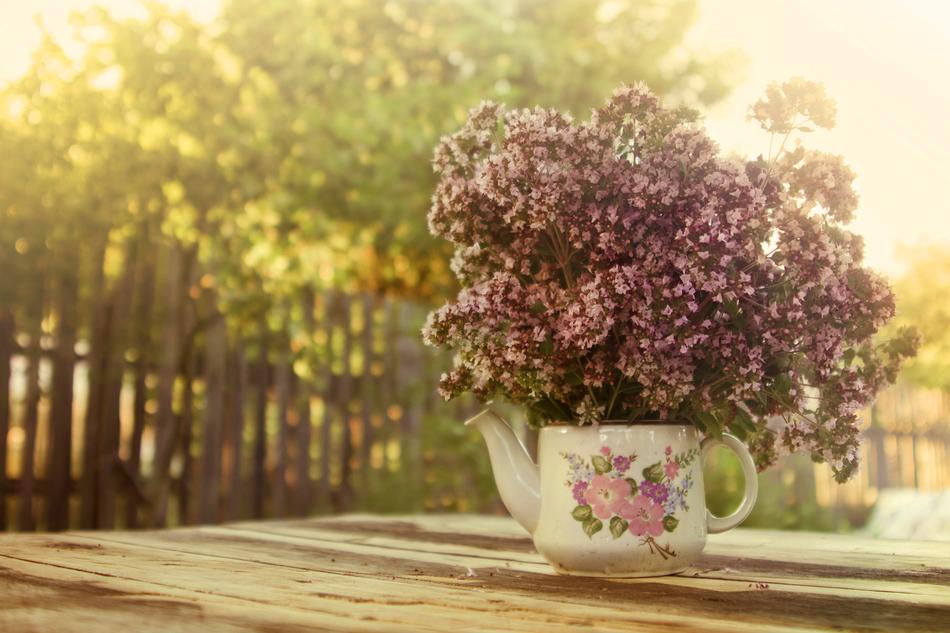 Summer Marjoram